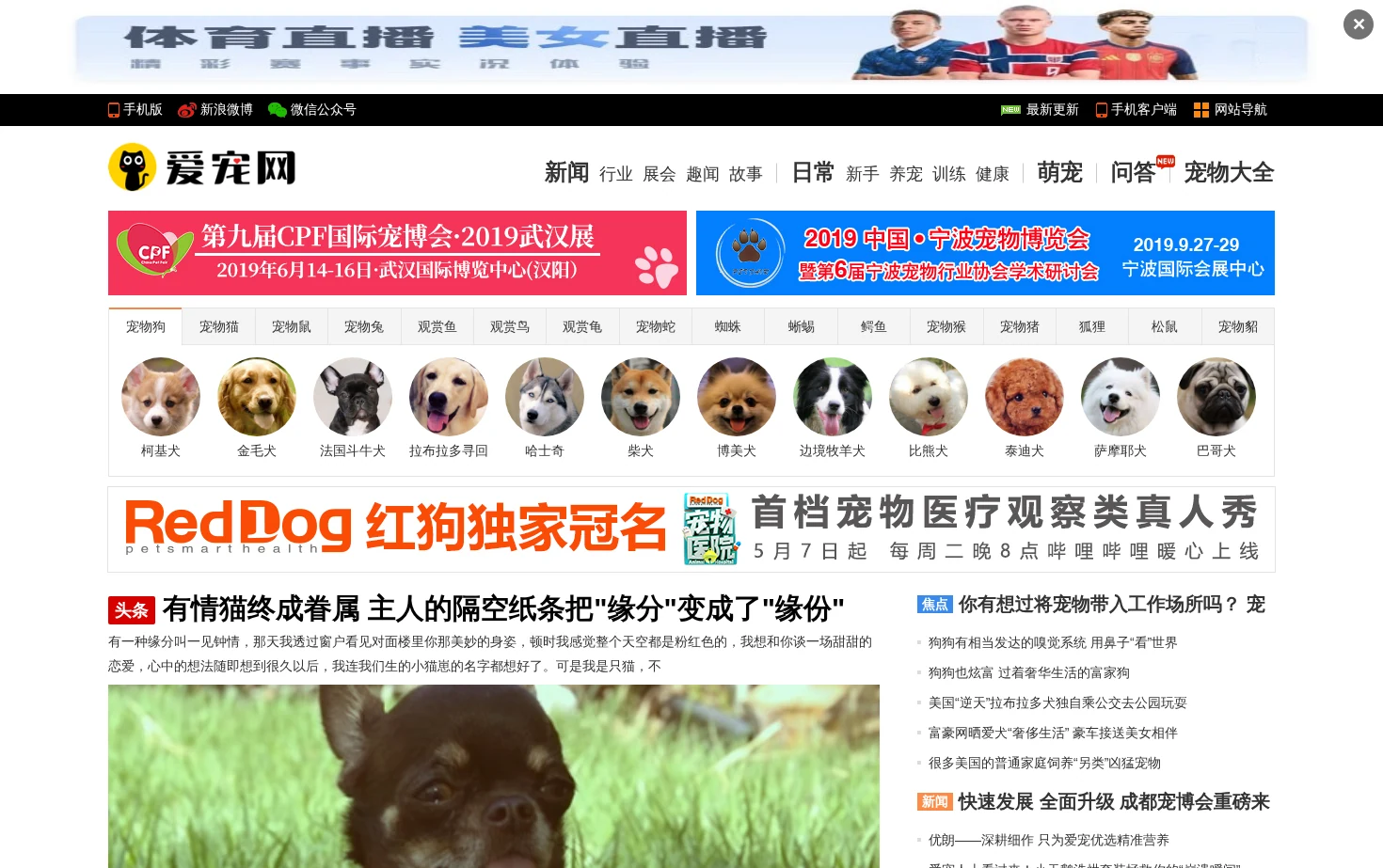 爱宠网 页面快照